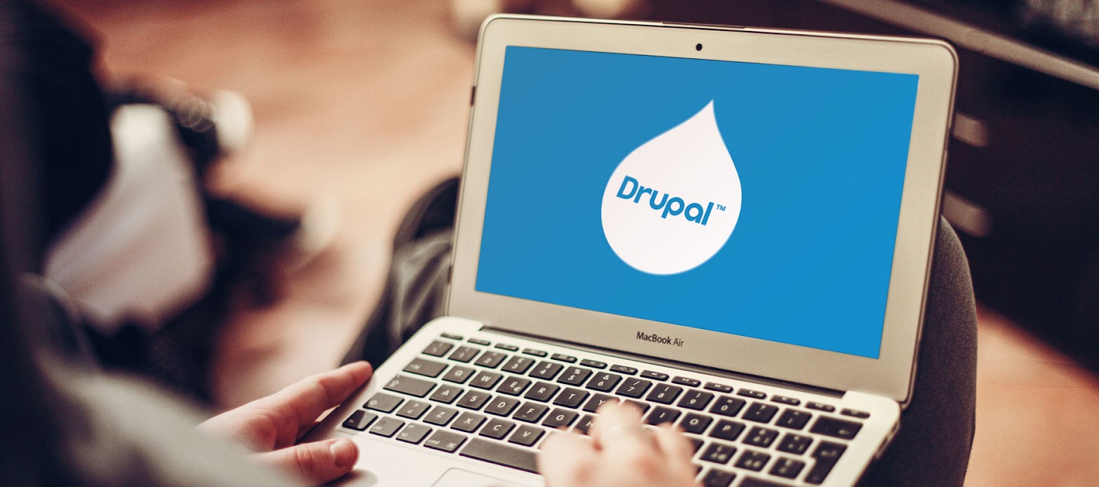 drupal development