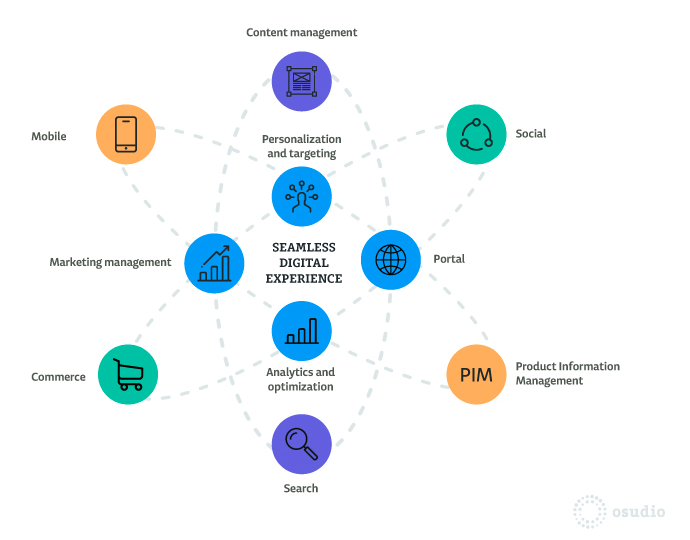 What Is DXP? The Role of Digital Experience Platform | AnyforSoft